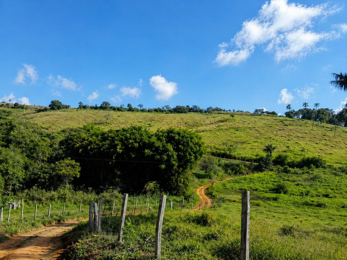 Fazenda à Venda, 3 Alq. MG em Bandeira do Sul - Bandeira do Sul