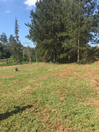 Imagem Terreno à Venda, 1.000 m² em Recanto Das águas  - Igaratá
