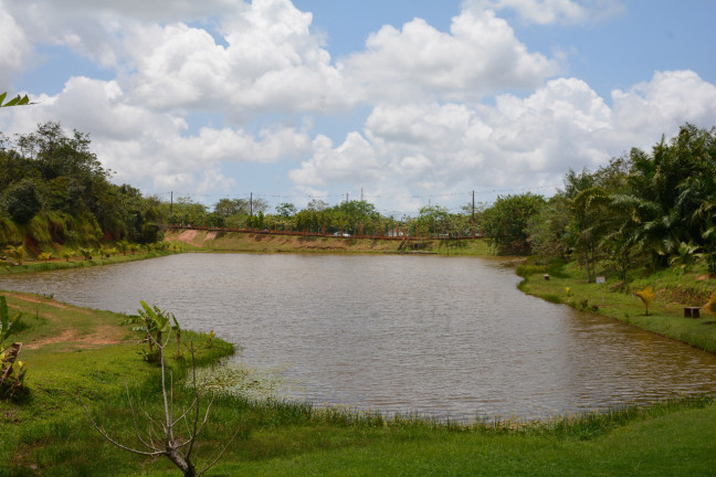 Imagem Terreno à Venda,  em Manassu - Jaboatão dos Guararapes