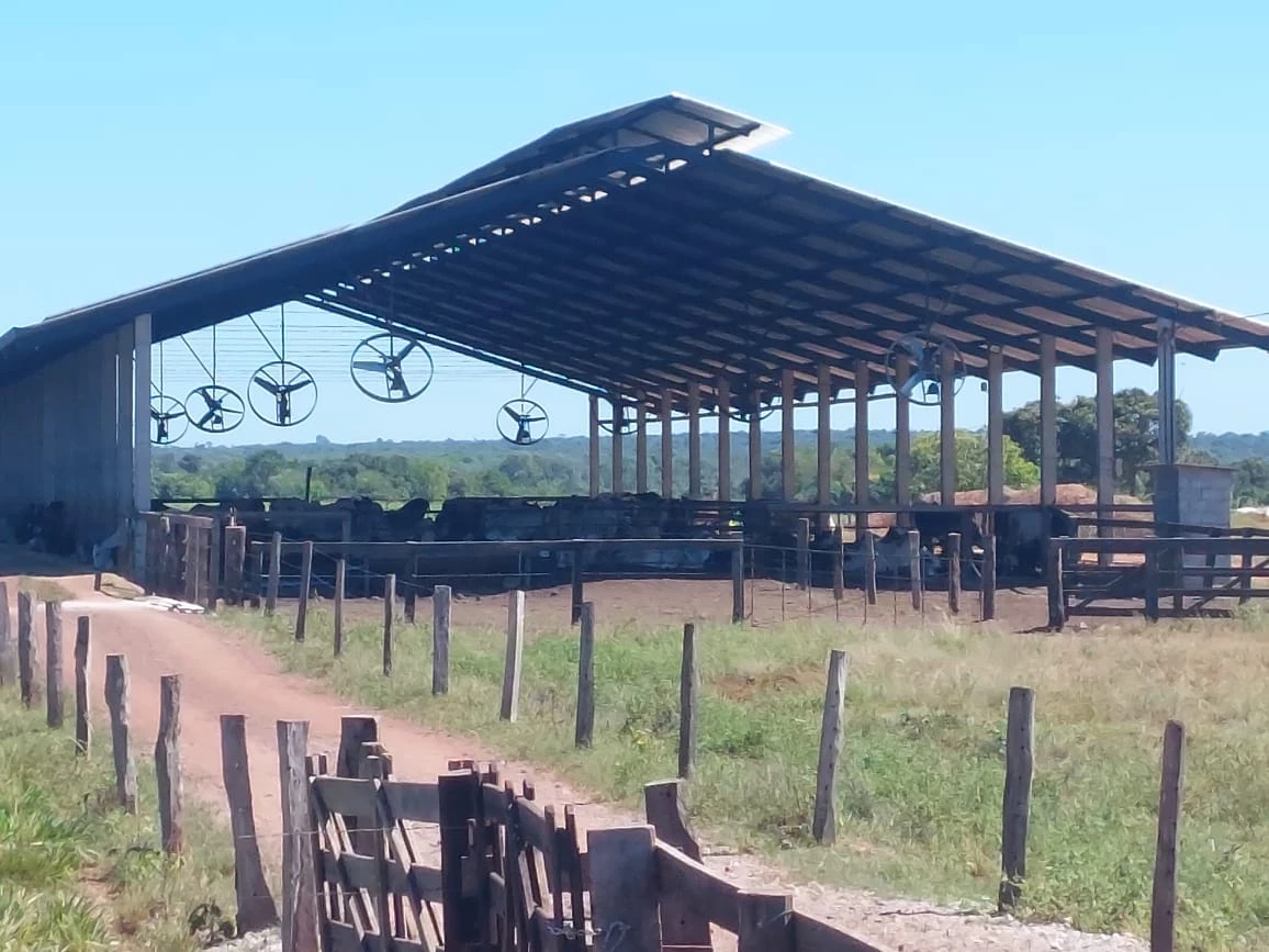 Imagem Imóvel com 3 Quartos à Venda, 629 m² em Pequizeiro - Pequizeiro