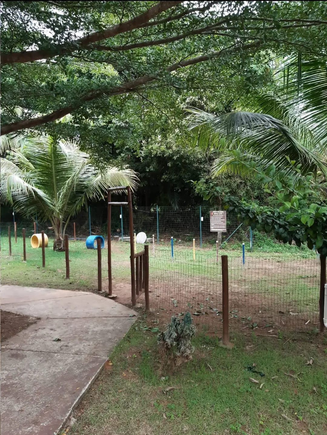 Imagem Apartamento com 3 Quartos para Alugar, 52 m²em Quintas do Picuaia  - Lauro de Freitas 