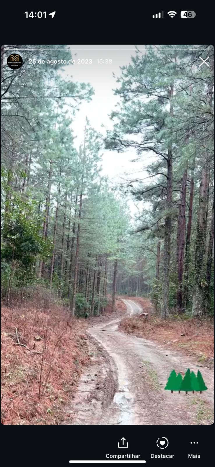 Foto do imóvel: Fazenda à Venda, 523 HA em Distrito do Aiurê - Grão Pará