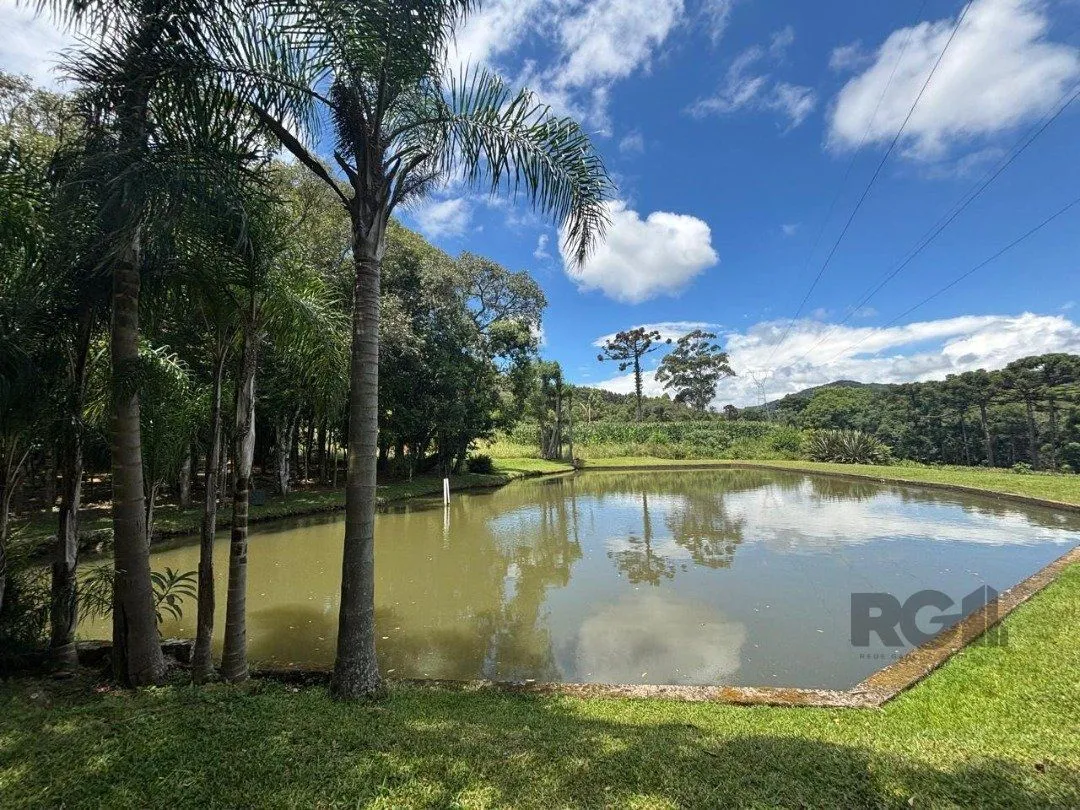 Imagem Lindo Sitio 5,4 ha a 7km do Lago Negro
