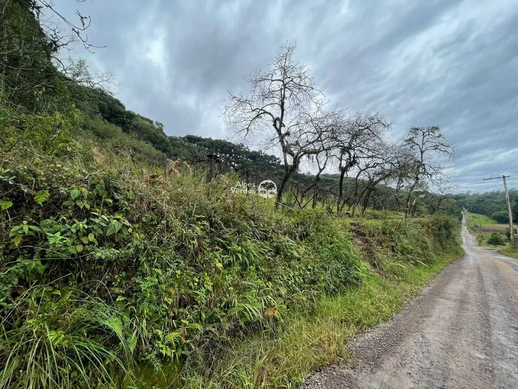 Imagem Terreno à venda, 20000 m2 por R$ 890.000 - Esplanada - Caxias do Sul/RS