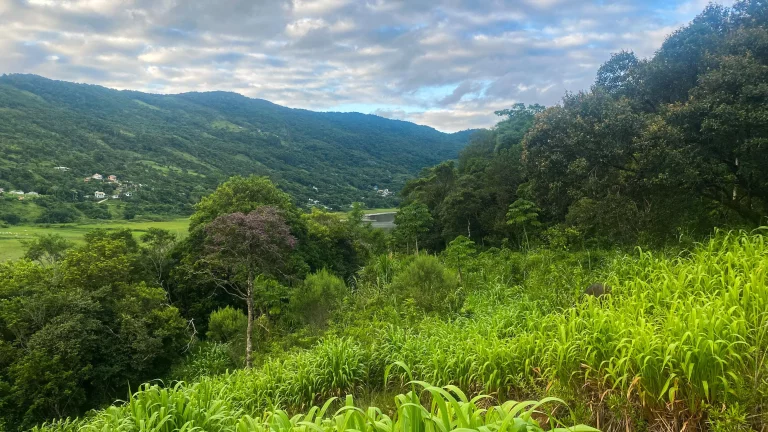 Imagem Oportunidade única: Terreno à venda em Garopaba-SC, Bairro Macacu, 1.000m² de área!