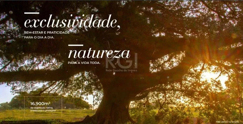 Imagem Terreno em Coronel Nassuca