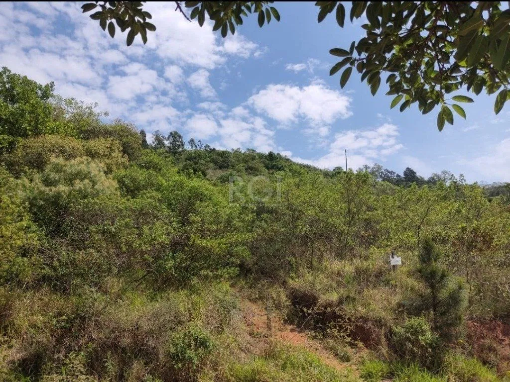 Imagem Area para Venda - 0m², 0 dormitórios, Cascata