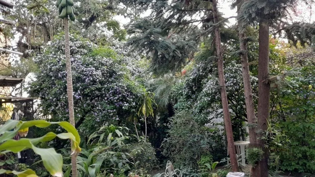 Imagem Terreno para Comprar na Santa Cecília no bairro Rio Branco.