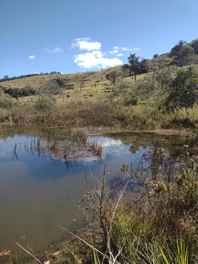 Imagem Vendo terreno em Crucilândia com 48 hectares de terra