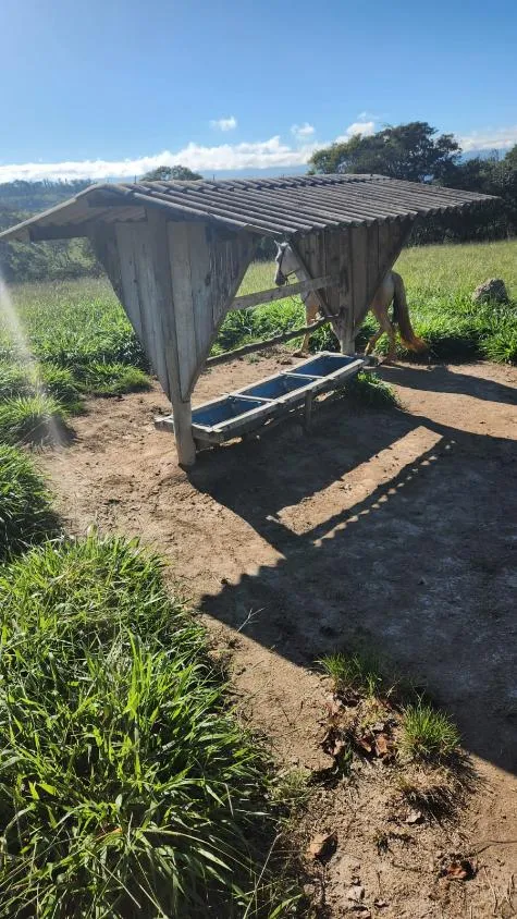 Imagem Vende-se excelente terreno em Bonfim/MG com Área total de 23 hectares, toda formada
