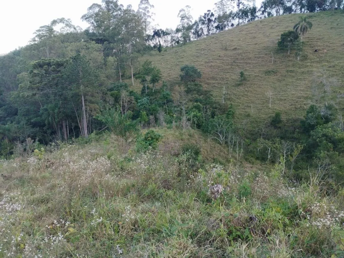 Imagem 4 Alqueires à Venda em Piracaia ? Ótima Localização!