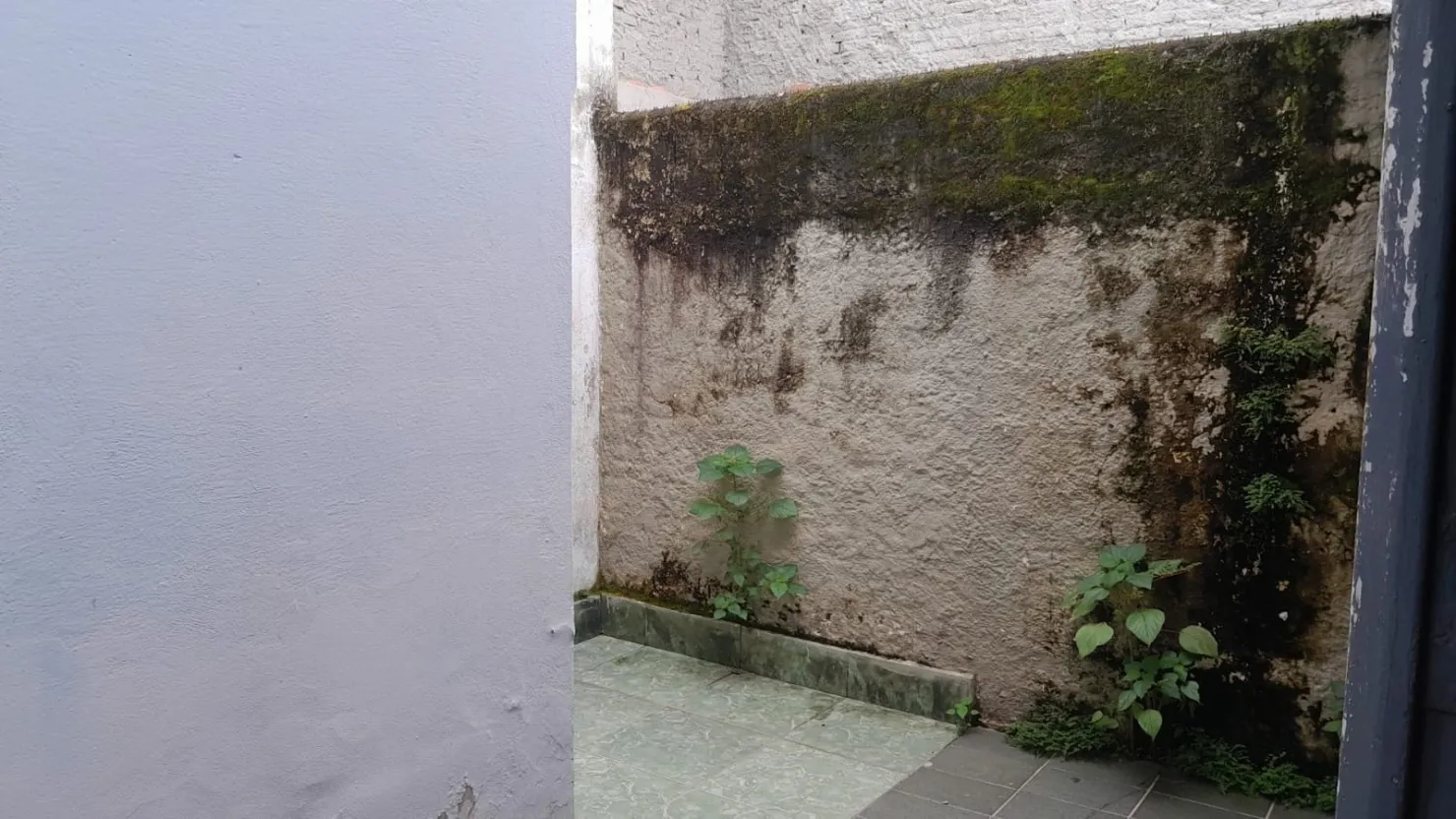 Imagem Casa à venda 3 Quartos, 3 Vagas, 250M², Centro, Tremembé - SP