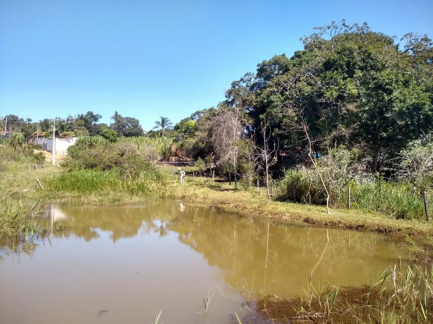 Imagem Chácara à venda, Bosque dos Ipês, Guaratinguetá, SP