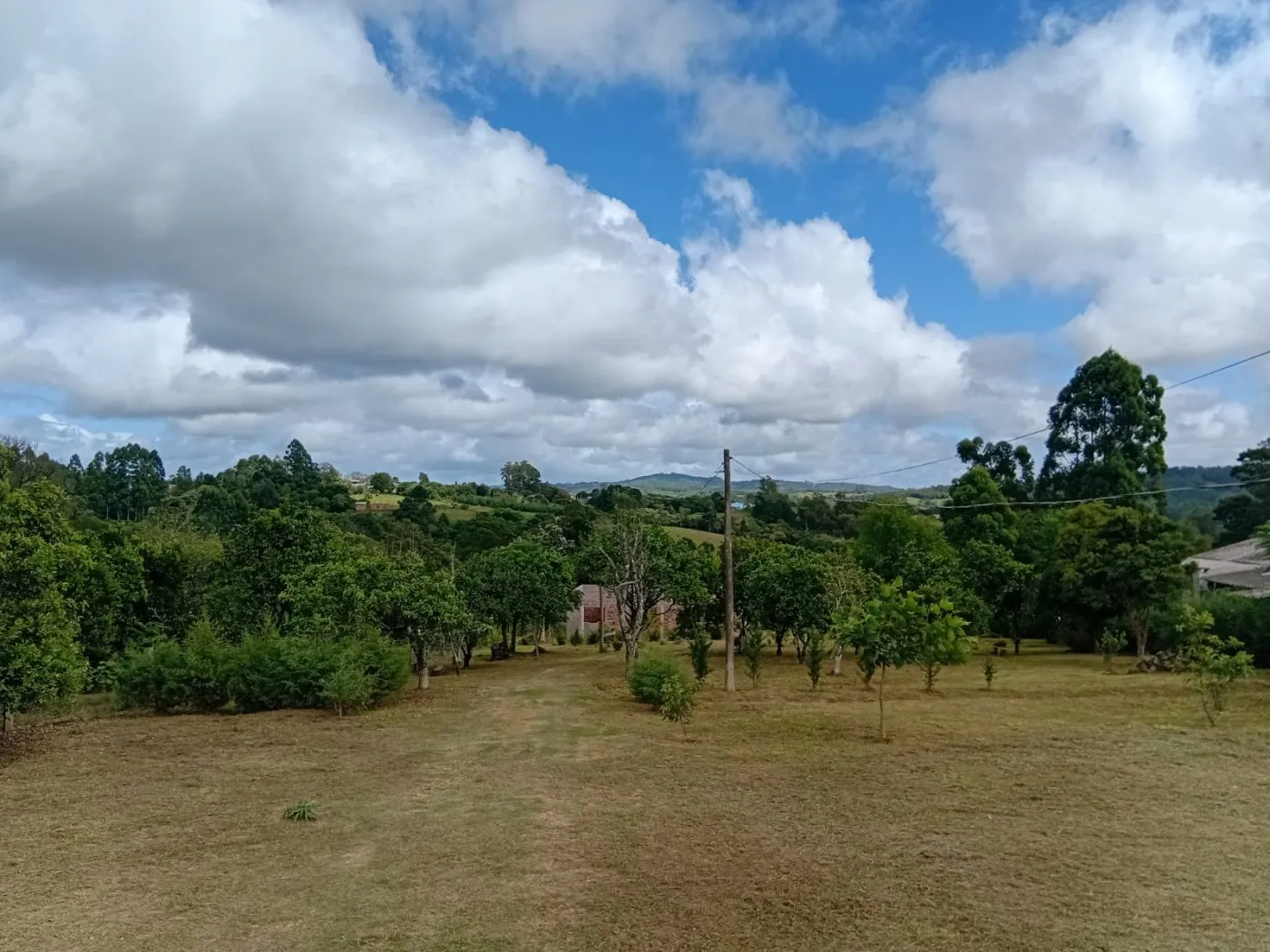 Imagem Sítio para Venda em Pelotas, Monte Bonito, 3 dormitórios, 1 banheiro, 1 vaga