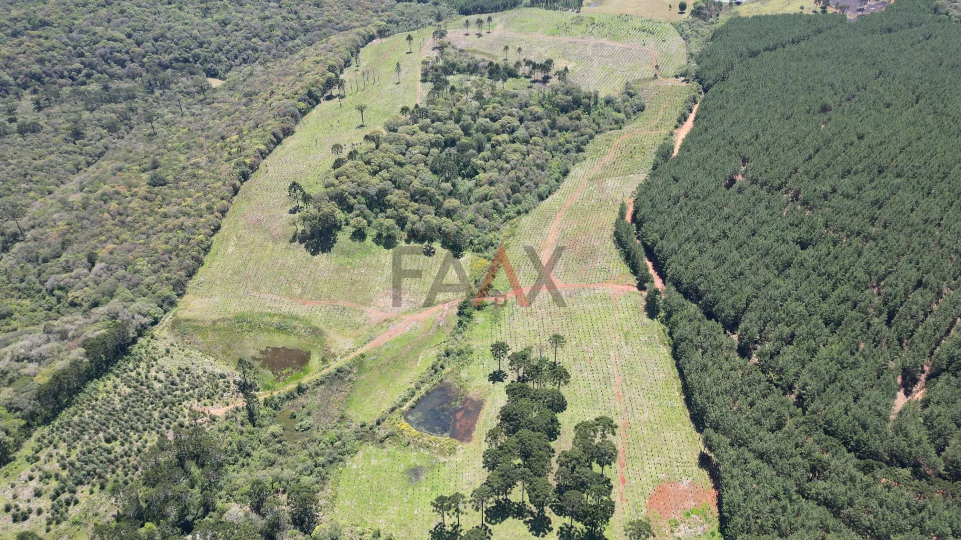Imagem CHACARA A VENDA NO DISTRITO DO GUAIRACA, GUARAPUAVA - PR