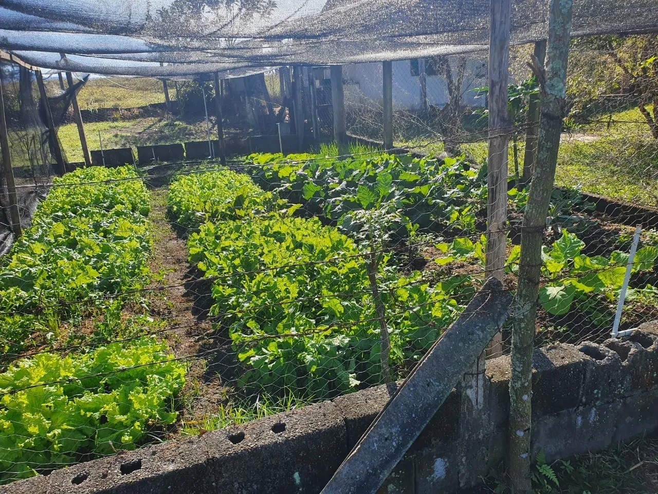Imagem Chácara à venda 2 Quartos, 50000M², Zona Rural, Potim - SP