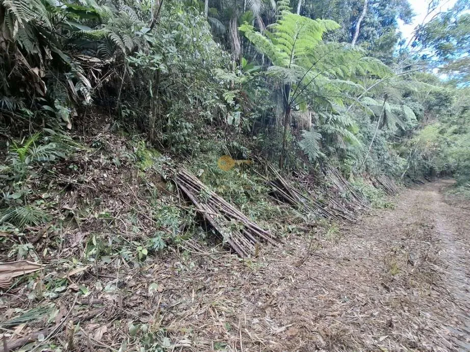 Imagem Terreno para Venda em Teresópolis / RJ no bairro Albuquerque
