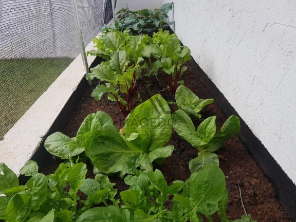 Imagem Casa em frente a Área Preservada - Ninho Verde 1