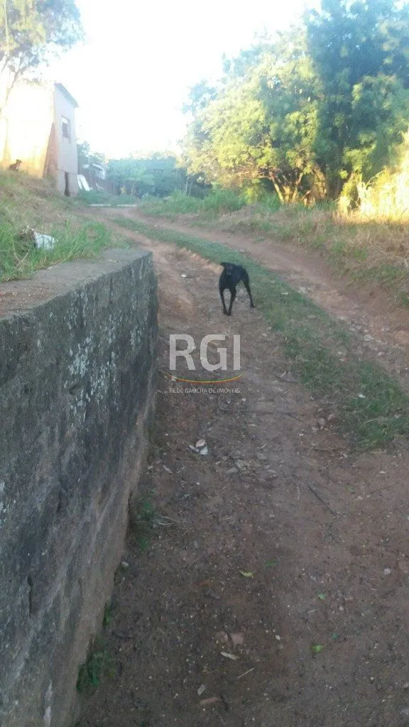 Imagem Terreno para Venda - 0m², 0 dormitórios, Nonoai
