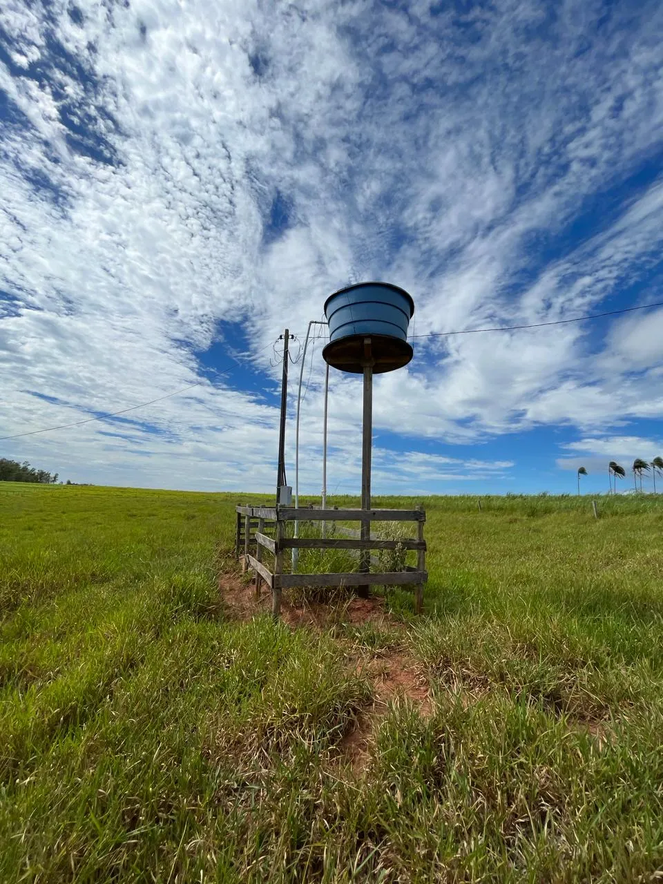 Imagem Chácara 24.19m Umuarama-PR 239