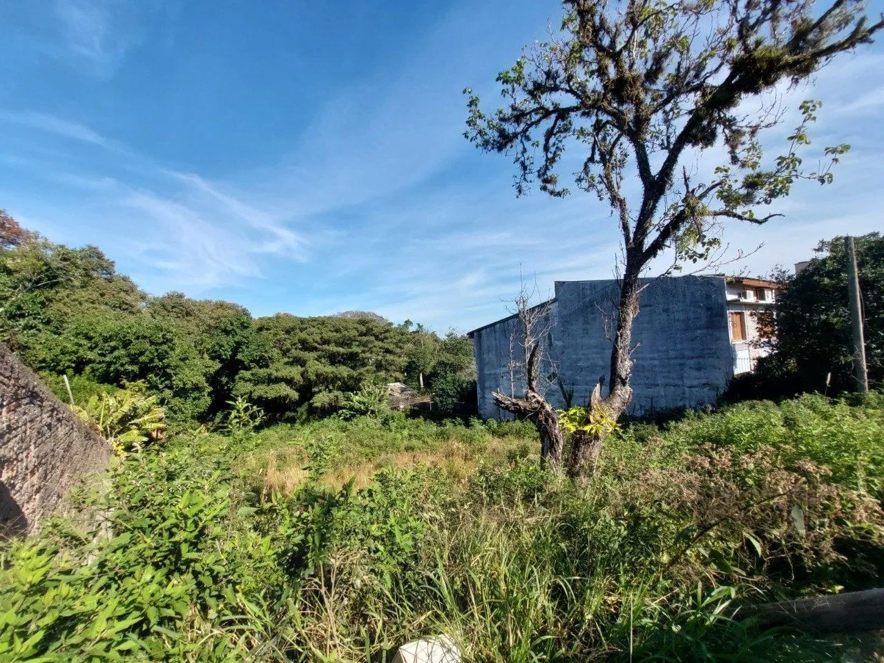 Imagem Terreno em Teresópolis