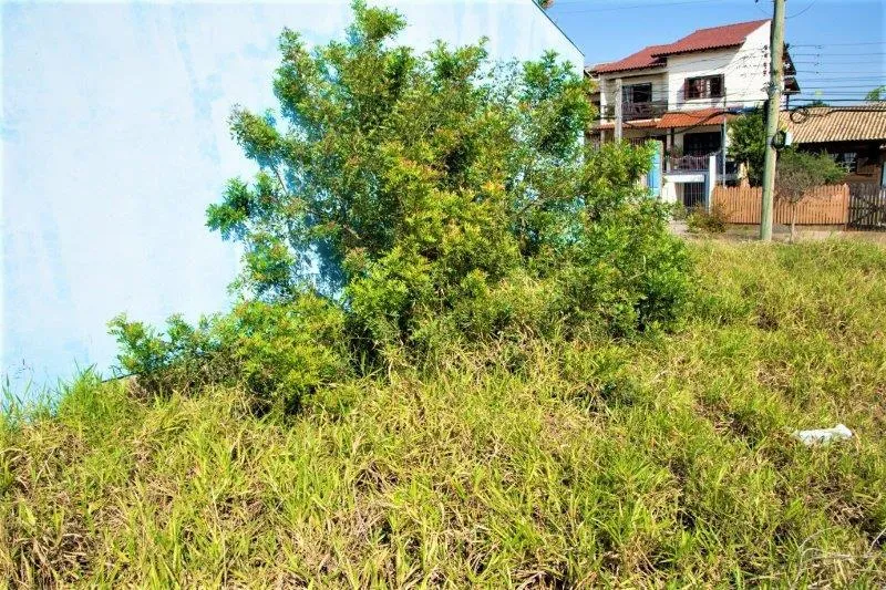 Imagem Terreno - Bairro Alto Petropolis