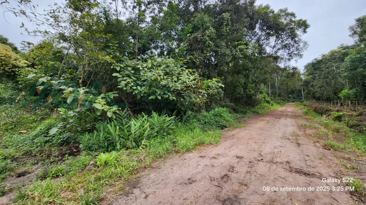 Imagem TERRENO DE ESQUINA NO BALNEÁRIO FAROL DO ITAPOÁ ll

Rua Ajacuá n° 259, quadra 29, lote 14, no Ba...
