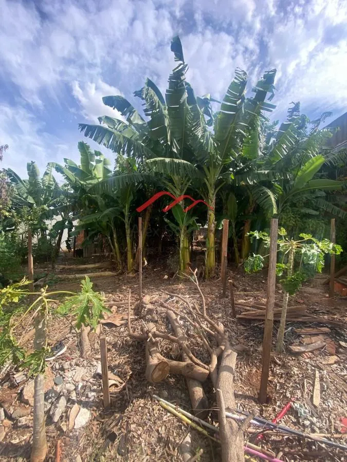 Imagem Terreno para Venda em Sumaré, Parque Residencial Salerno (Nova Veneza)