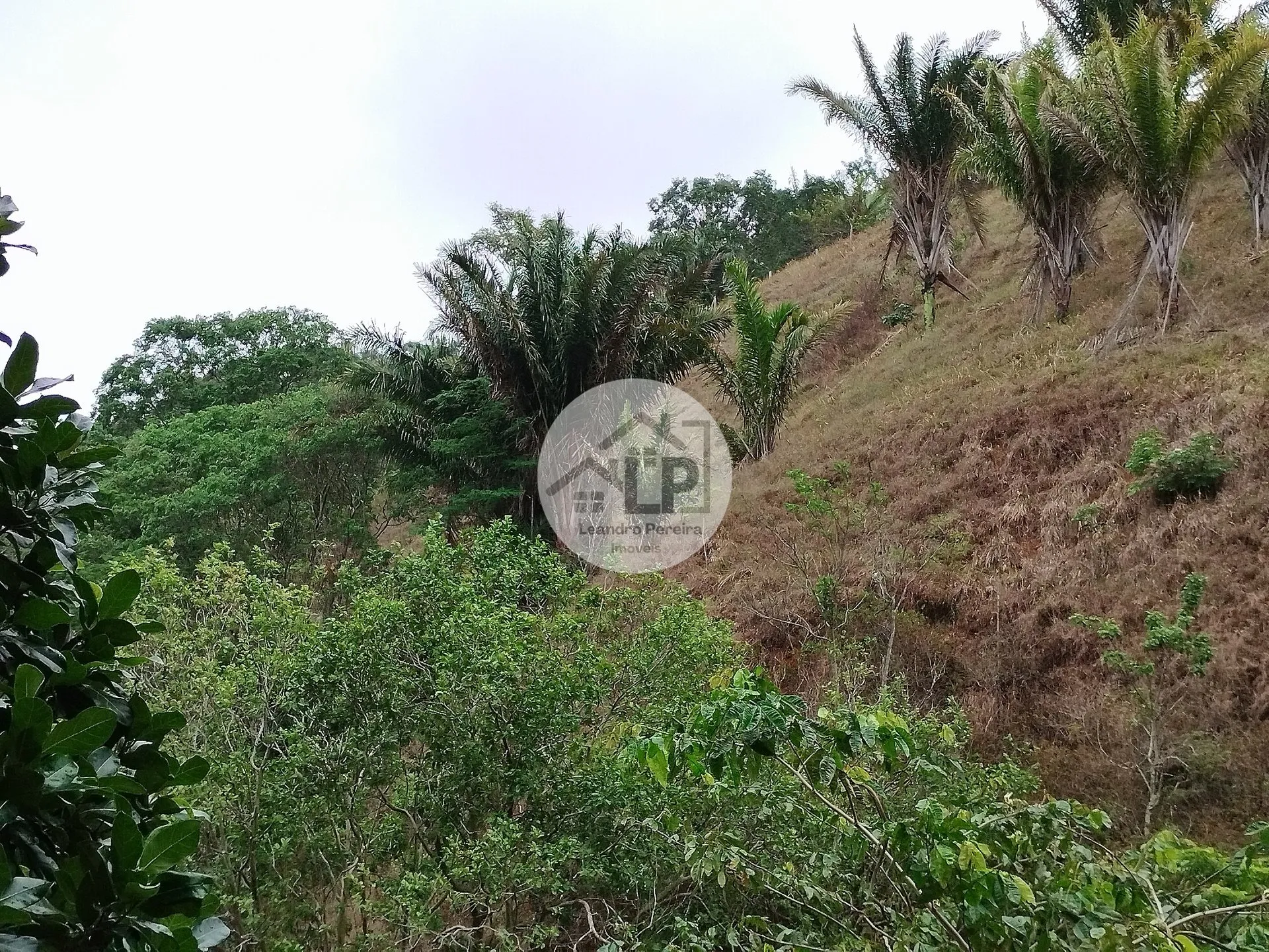 Imagem Lote/Terreno de 1440m² no bairro Caiçara, em Piraí