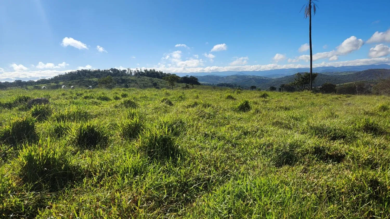 Imagem Vende-se excelente terreno em Bonfim/MG com Área total de 23 hectares, toda formada