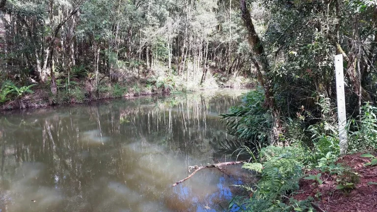 Imagem Chácara à venda em Campo Largo/PR