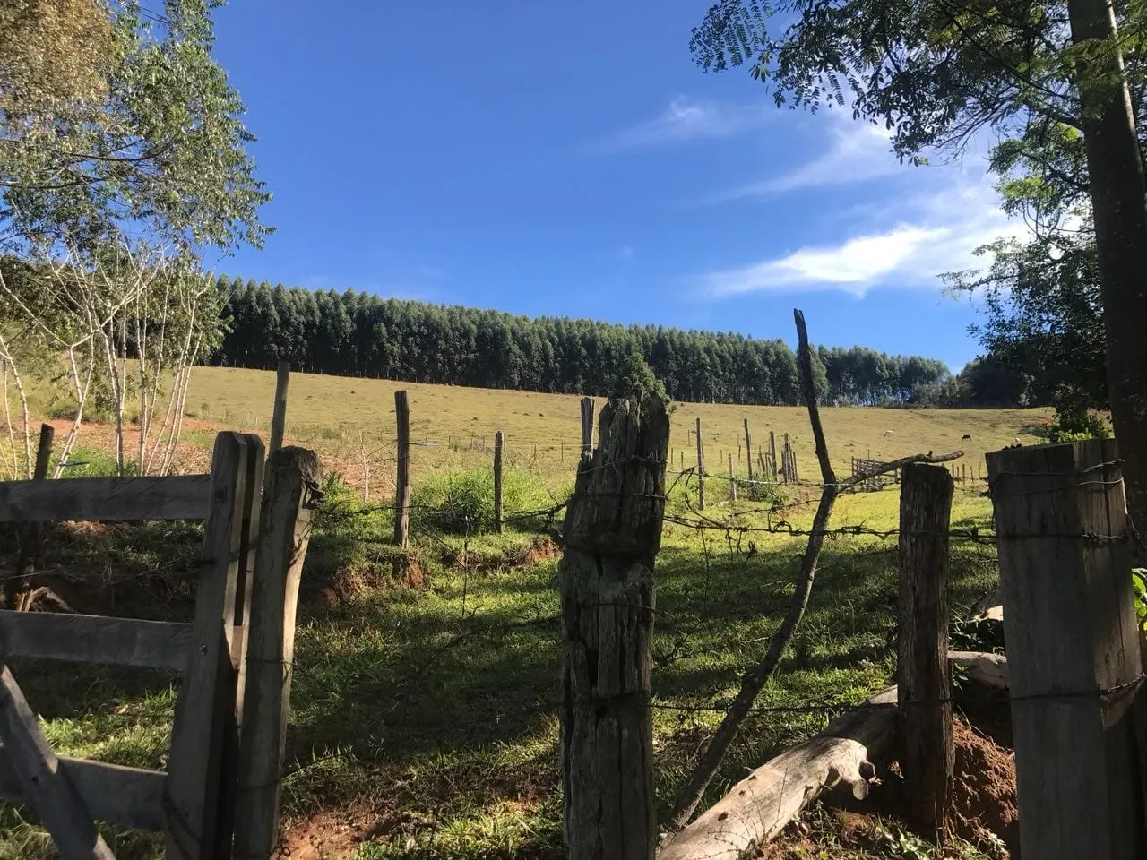Imagem Chácara à venda 3 Quartos, 157000M², Bailaiero, Cunha - SP