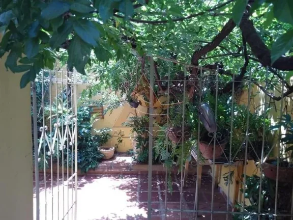 Imagem Casa - Ribeirão Preto - Vila Tibério