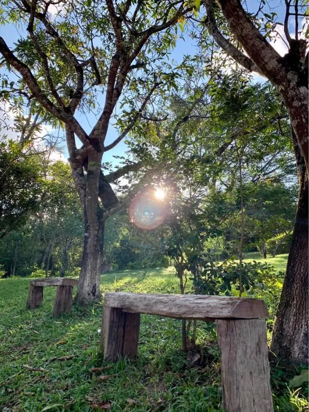 Imagem Vendo um excelente sítio em Betim/MG com 4,9 hectares