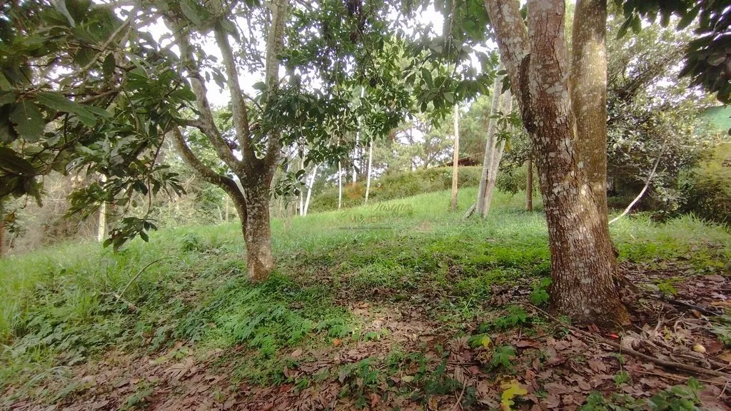 Imagem Terreno em Condomínio para Venda em Teresópolis / RJ no bairro Green Valley