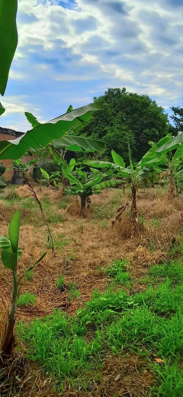 Imagem Terreno no Bairro Ponta Grossa