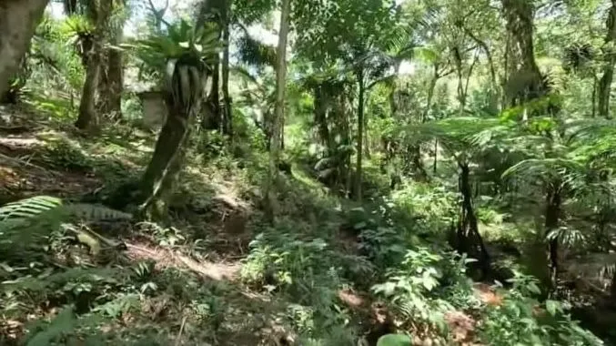 Imagem Sitio com 5 dormitórios, 36.000,00M² Vila Elvio- Piedade/SP