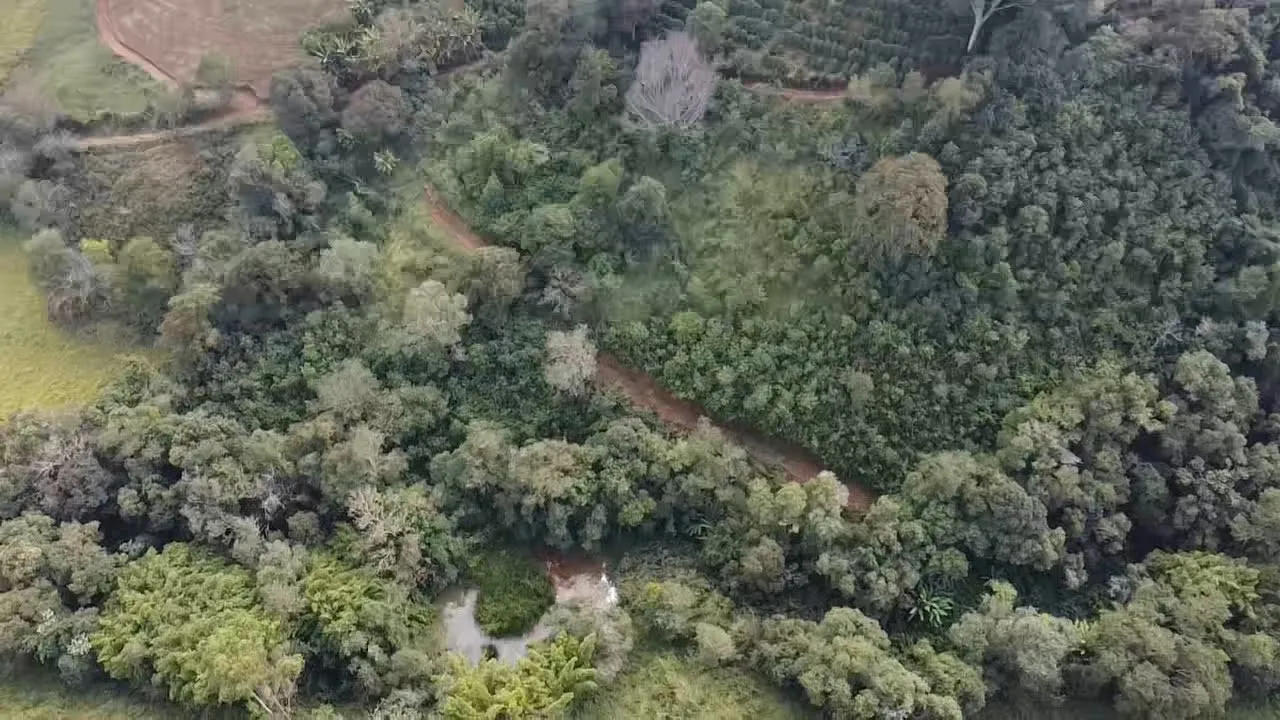 Imagem Sítio 3,63 ha à venda em Primos, Campestre