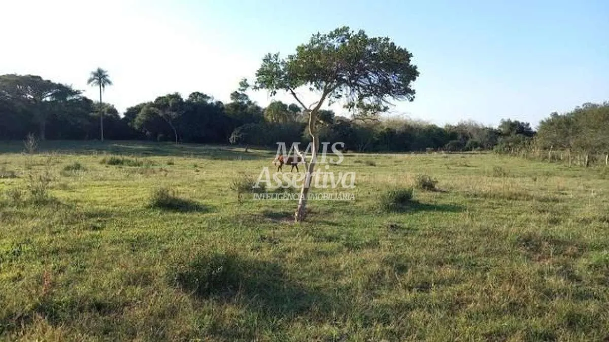 Imagem Sítio para Venda em Nova Santa Rita / RS no bairro Itapuí