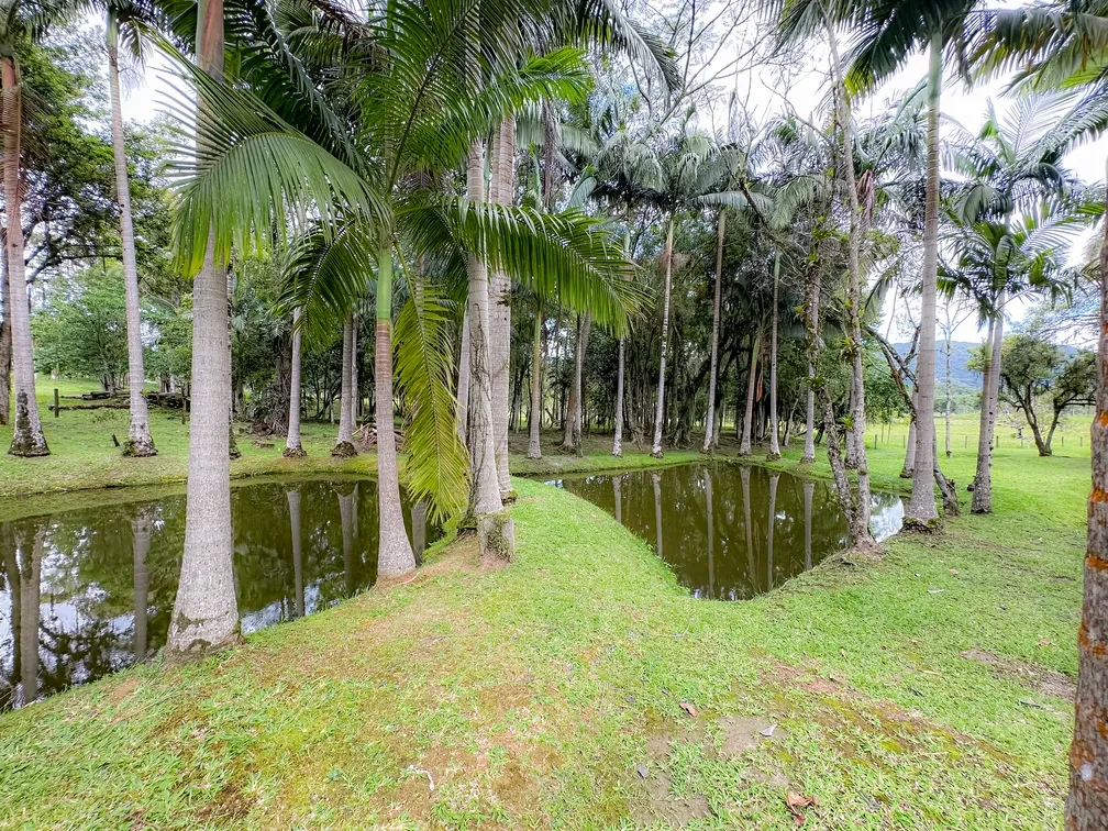 Imagem Chácara com 3 Quartos à Venda, 15595 m² em Área Rural de Camboriú - Camboriú