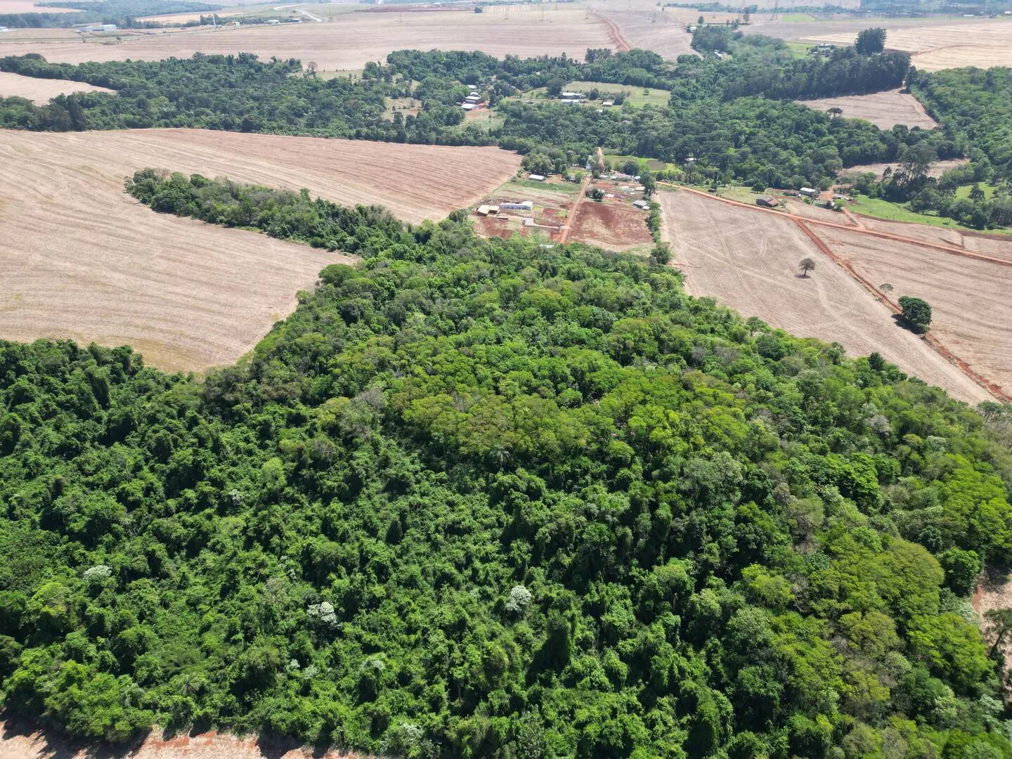 Imagem Chácara a venda em Cascavel, com 2,0992 hectare cada uma e matrícula indiviauais.