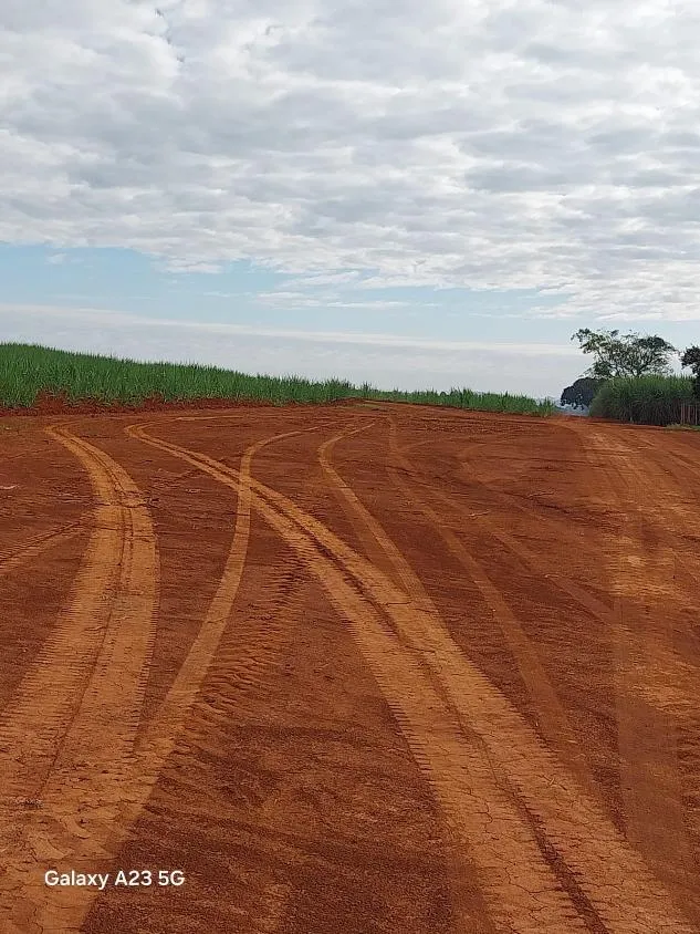 Imagem Vendo excelente fazenda em Lagoa da Prata/MG 376 hectares de terra