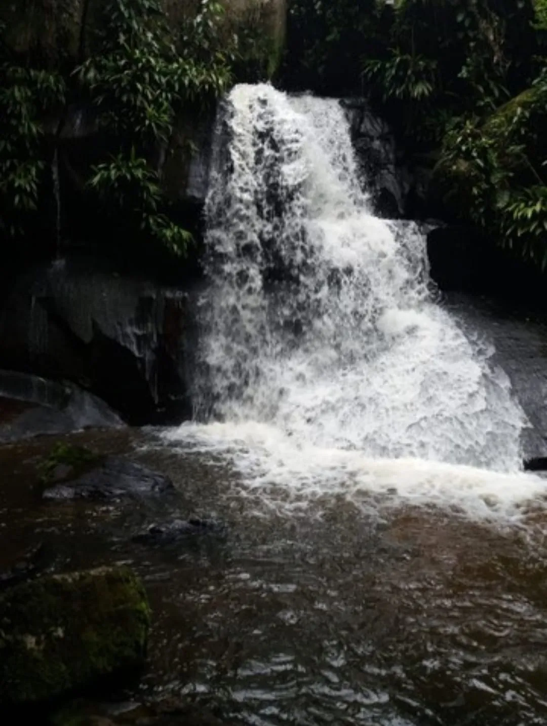 Imagem Chácara à venda 2 Quartos, 1 Suite, 170000M², Zona Rural, Paraibuna - SP
