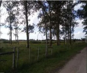 Imagem Area para Venda - 1.100.000m², Vila Santa Rosa