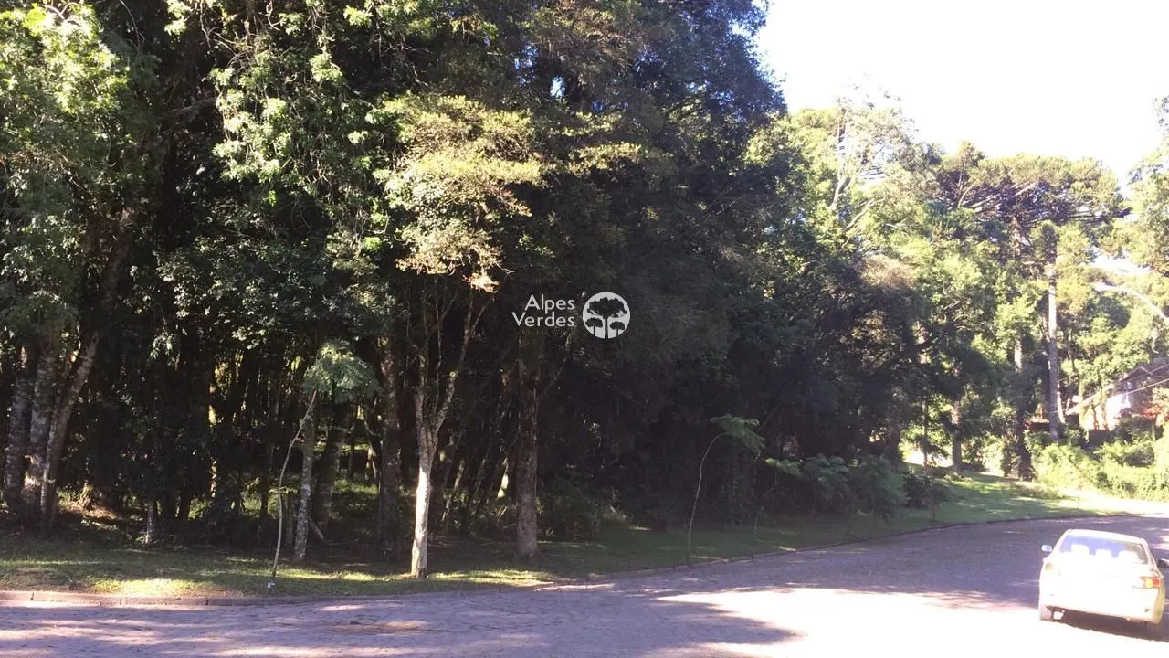 Imagem Terreno à venda, 1622 m2 por R$ 1.660.000 - Sinoserra - Canela/RS
