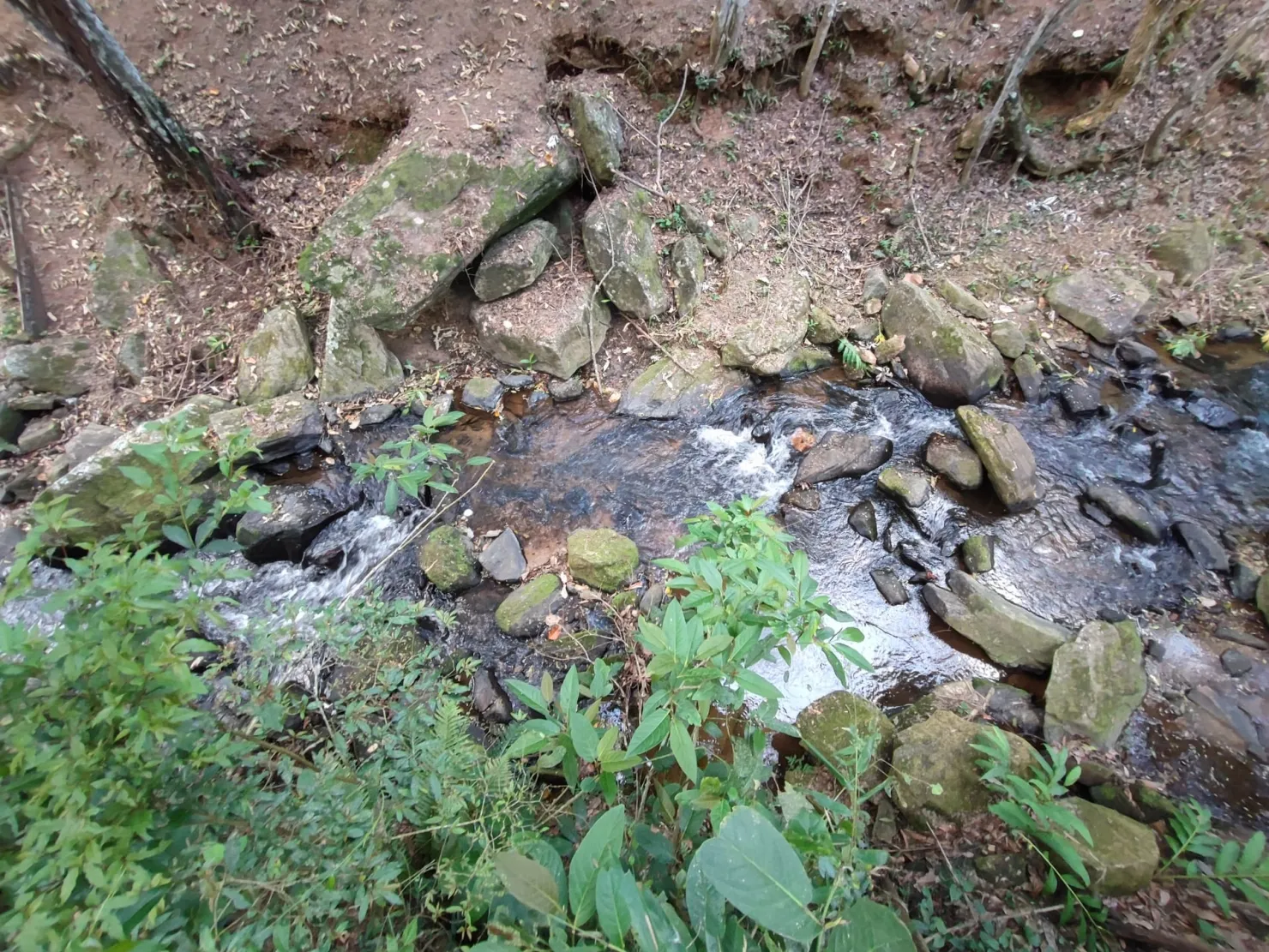 Imagem Chácara à venda 78000M², Zona Rural, Pindamonhangaba - SP