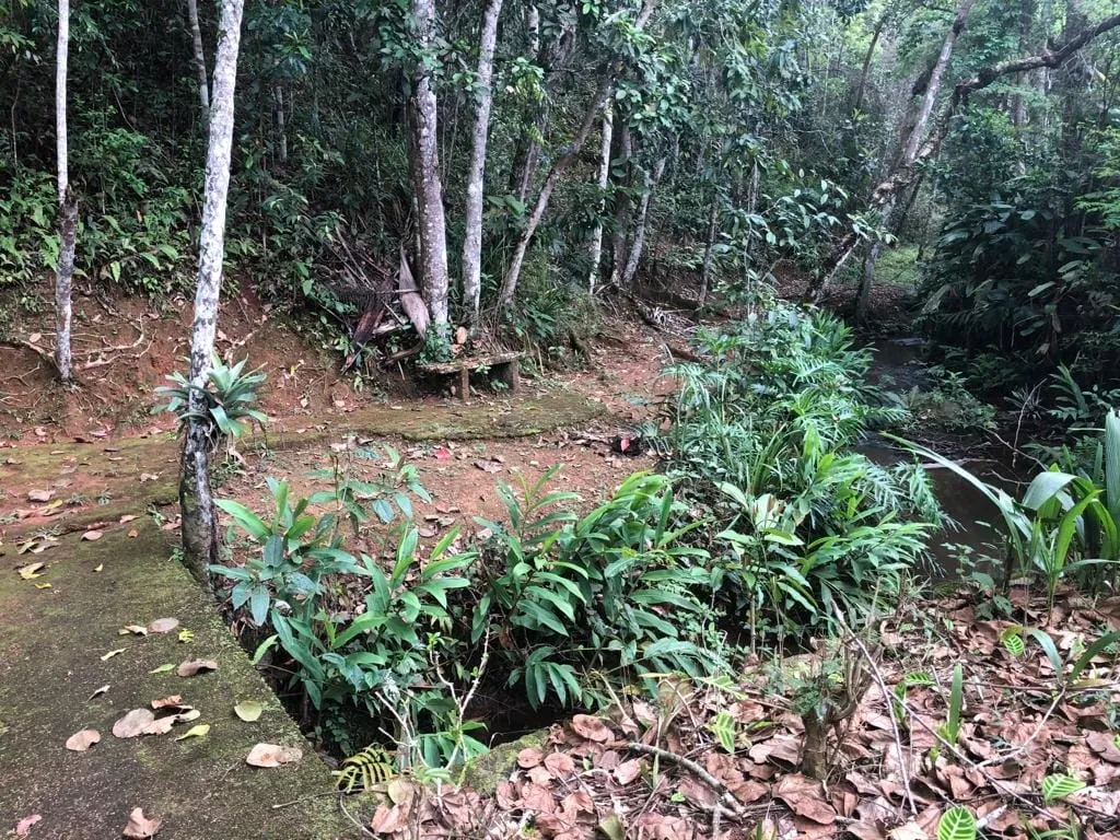 Imagem Chácara à venda 1 Quarto, 57596M², Pinga, Pindamonhangaba - SP