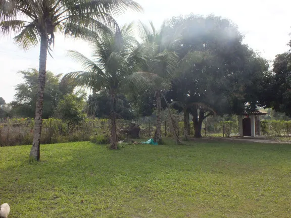 Imagem Chácara com 2 Quartos à Venda, 2.800 m² em Araruama