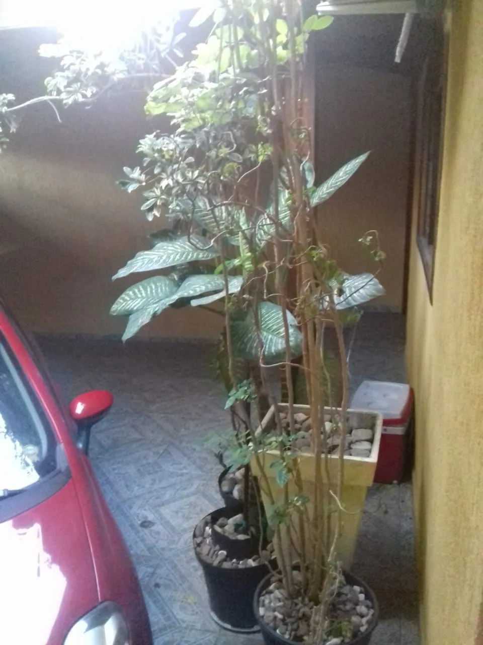 Imagem Casa à venda 5 Quartos, 1 Suite, 2 Vagas, 250M², Residencial Pasin, Pindamonhangaba - SP