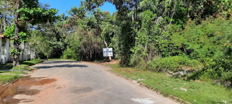 Imagem Excelente Terreno!!! Praia da Tabatinga Caraguatatuba SP